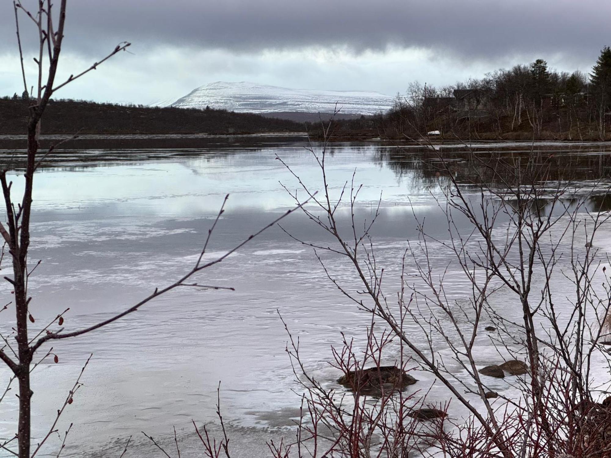 Skoganvarre Cottage Lavkavann Finnmarksvidda מראה חיצוני תמונה