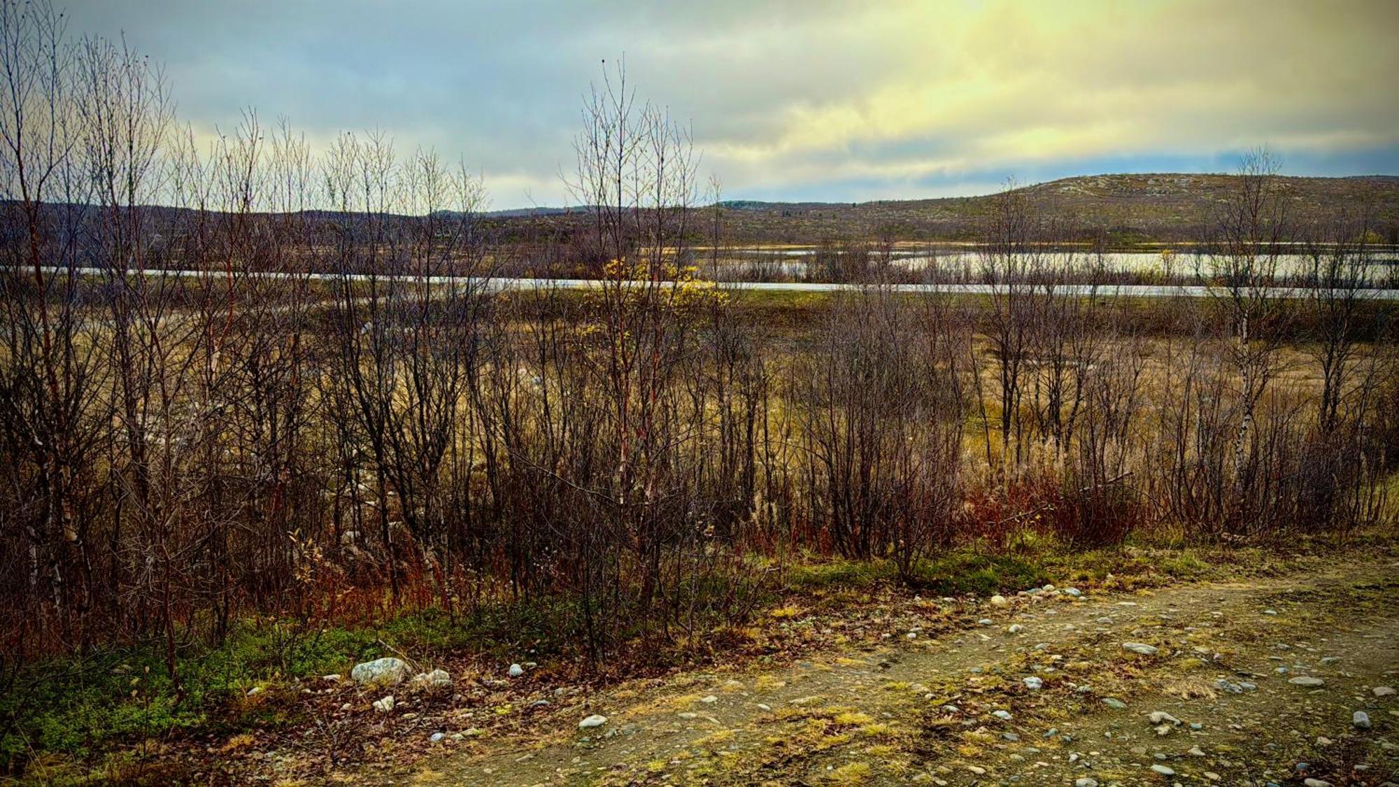 Skoganvarre Cottage Lavkavann Finnmarksvidda מראה חיצוני תמונה
