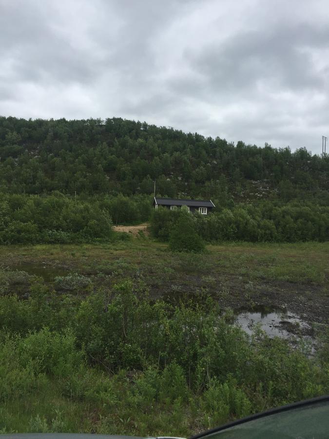 Skoganvarre Cottage Lavkavann Finnmarksvidda מראה חיצוני תמונה